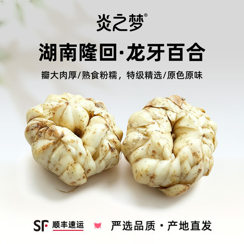 正宗湖南隆回龙牙百合新鲜整果