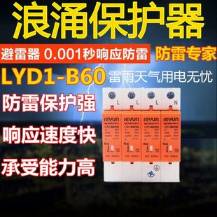 避雷器30KA 上海雷源浪涌保护器 2P电涌保护器 B60 60KA LYD1