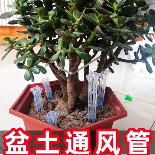 【下单立减50】盆土透气管花盆通风管板结防闷根烂根浇花爆根神器