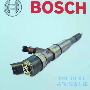 0445110081共轨喷油器喷油嘴INJECTOR NOZZLE适用于VW