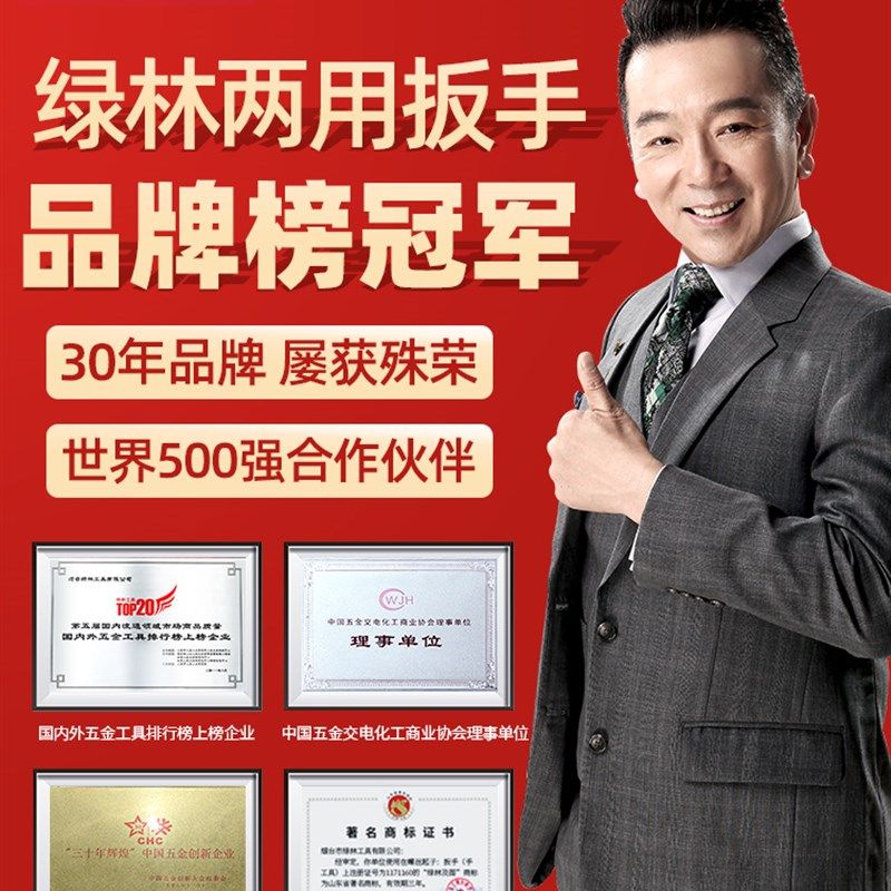绿林德国梅花开口两用扳手套装呆扳手棘轮梅开板子五金工具大全一