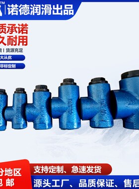 DXF/DF单向阀 稀油站油路立式铸铁止回阀15/20/25/32/40/50包质量
