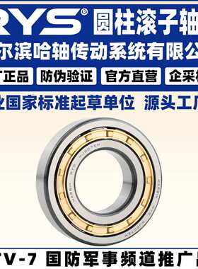 RYS 哈轴传动  NJ NUP NU RNU N 2315 2316 2317 E M EM 圆柱滚子