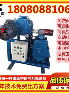 真空机组厂家 ZJP-300罗茨增压旋片泵机组V0301C旋片真空机组