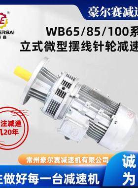 厂家供应微型摆线针轮减速机WB85WB100减速电机减速器伺服电机