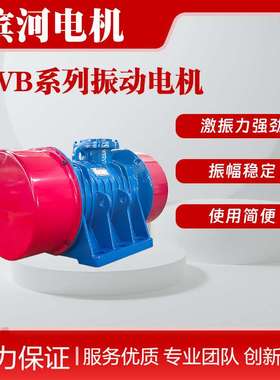 VB-100756-W系列振动电机移动破碎机常用电机XVB-100-6