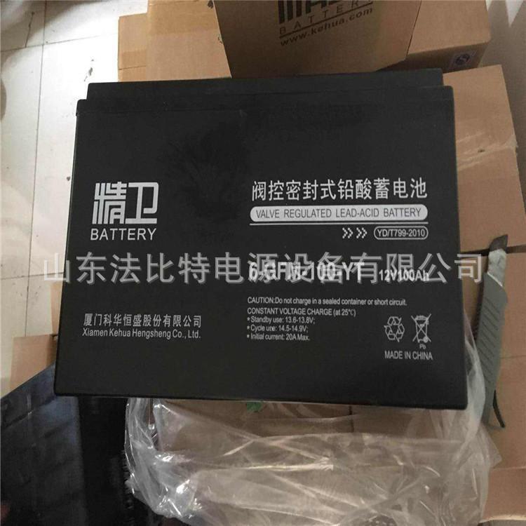 精卫铅酸蓄电池6-GFM-100-YT/12V100AH计算机机房精卫6-GFM-100