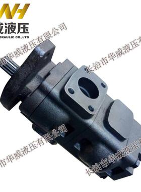 D149283 D146608 7049522009 20925579，AT183664 齿轮泵