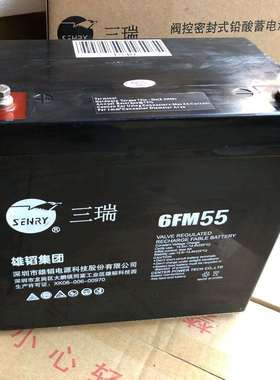 三瑞蓄电池6-FM55/12V55AH/蓄电池