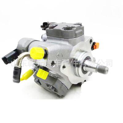 燃油喷射泵 A2C20003282 5WS40273 柴油发动机燃油泵