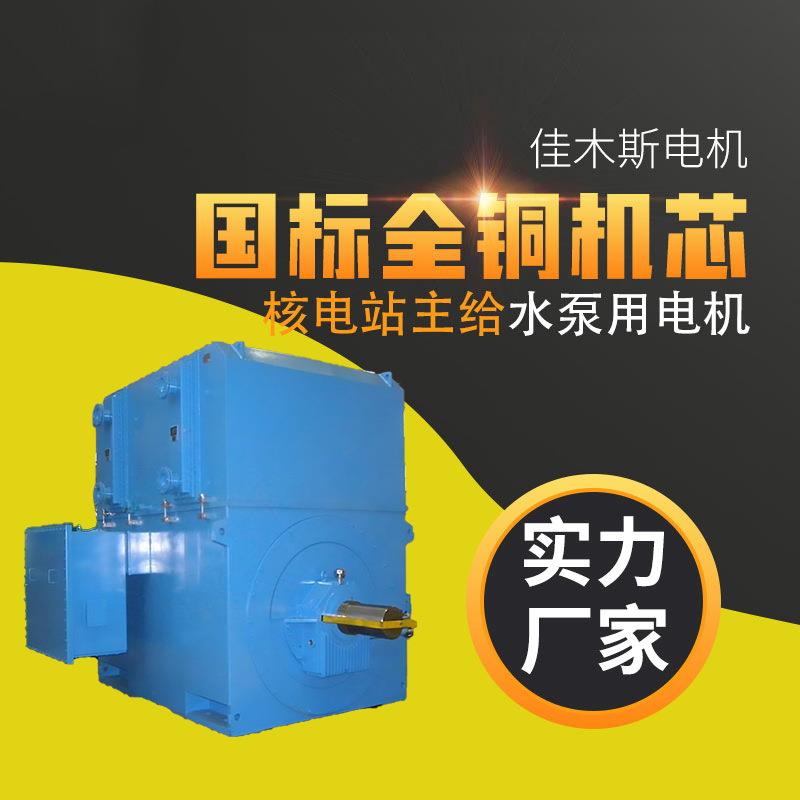 佳木斯电机 HYKS1000-4 核电站主给水泵用电动机全铜电机 品质保