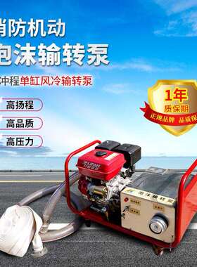 泡沫输转泵SZQ-200泡沫输转泵 便携式手抬泡沫输转泵