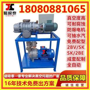 JZJ2B300 150罗茨增压泵2BV5131水环真空泵 2.1真空机组ZJP300