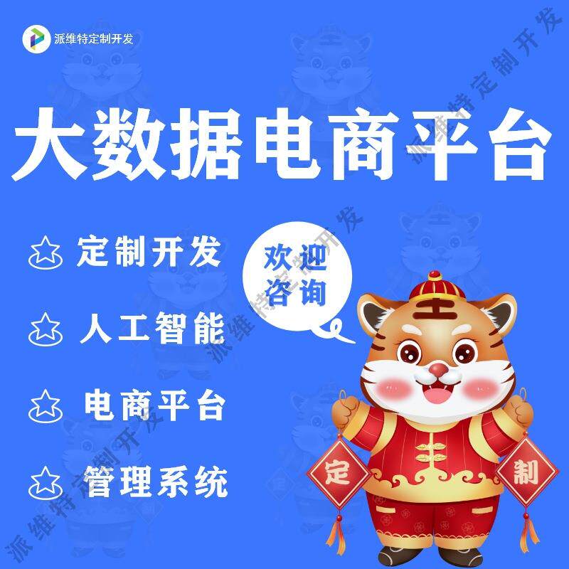 大数据电商平台搭建人工智能系统数据对接ERP管理系统对接开发
