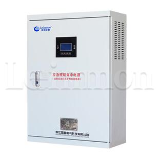 应急照明集中电源配电箱LM-D-·0.6KVA DC24V 30分钟智能疏散指示