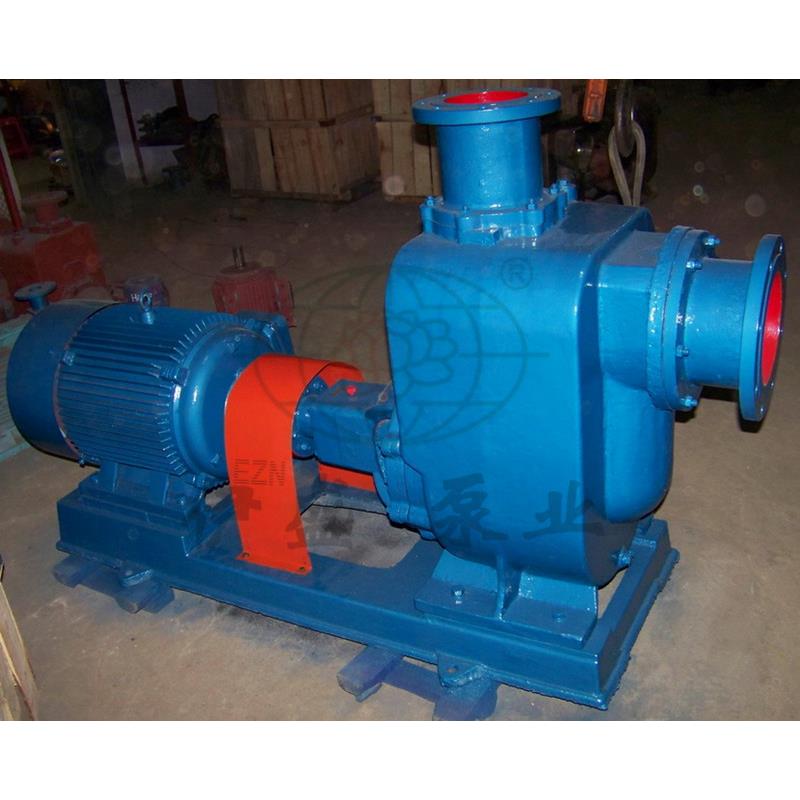 EZN-50ZW10-20自吸无堵塞排污泵