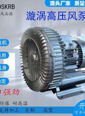 RB-71D-3纺织织布机吸丝风机焊接废弃吸高压风机RB-73D-4旋涡气泵