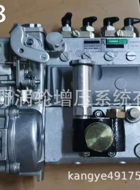 喷油泵 101605-9830 101062-8220和101605-0390 898175-9510