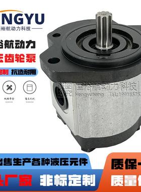 力士乐REXROTH齿轮泵AZPW21005RQRXXMBS0593 AZPN12020RCB20B油泵