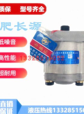 合肥长源齿轮泵CBW-F304/F306/F308/F310/F314/F316/F320-AFB/CLB