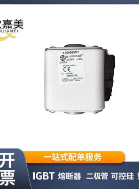 170M6501 170M6540 快速熔断器 保险丝 电子元器件 量大价优