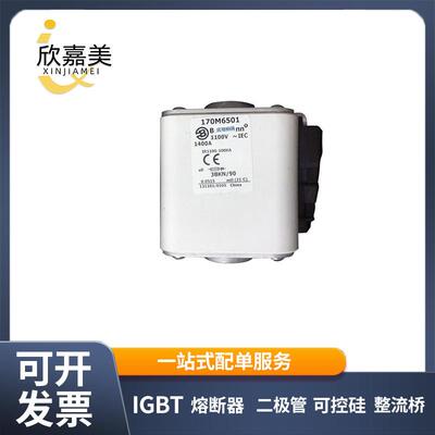 170M6501 170M6540 快速熔断器 保险丝 电子元器件 量大价优