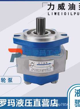 QC13/12-D10WX合肥力威液压3407020-155-CS2A客汽车 动力泵转向泵