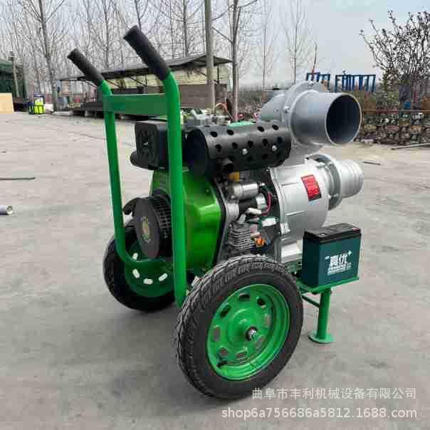 农业灌溉水泵 小型排水抽水机 195动力高扬程喷灌泵高压泵