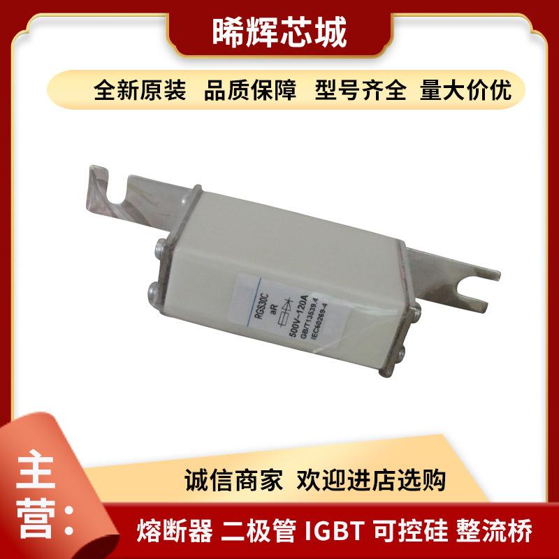 RGS30C aR 500V/100A 10A 120A 15A 型号齐全快速熔断器标准封装