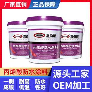 专业可出口CABERRY 水泥基屋面屋顶防水 墙面和地面外墙防水涂料
