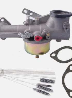 园林化油器491590 Carbureto Briggs & Stratton 390811