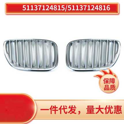51137124815  51137124816 适用于宝马BMW X5 E53 中网电镀银