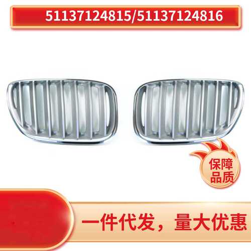 51137124815  51137124816 适用于宝马BMW X5 E53 中网电镀银