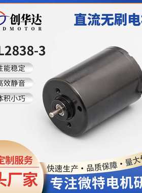 BL2838-3直流无刷电机 咖啡机水泵微型减速马达 耐用低噪音电机