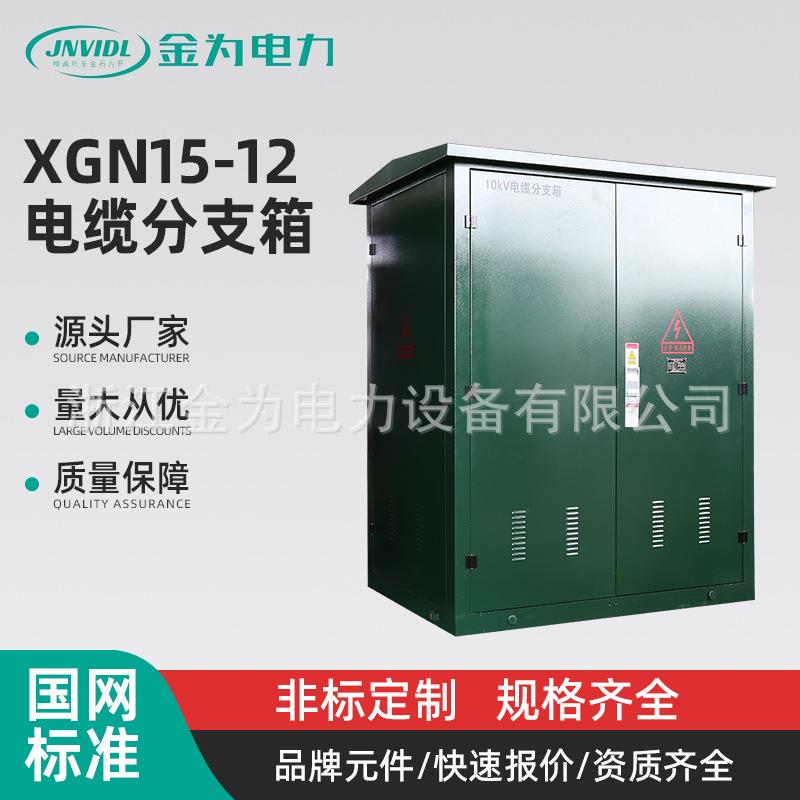 10KV电缆分支箱高压分支箱XGN15-12环网柜气体绝缘柜10kv高压