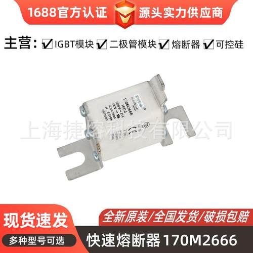 170M2666 170M2667 快速熔断器 电子元器件 型号齐全 量大价优