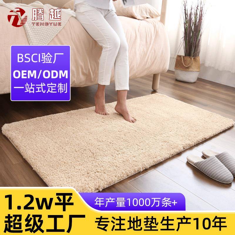 跨境家用地毯加厚长毛绒床边毯浴室防滑地垫吸水垫家用入户门地垫