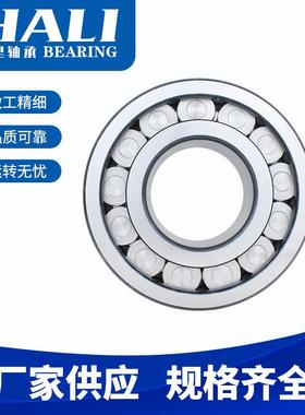 高承重加厚满滚柱圆柱滚子轴承SL192320 SL192322 SL192328轴承