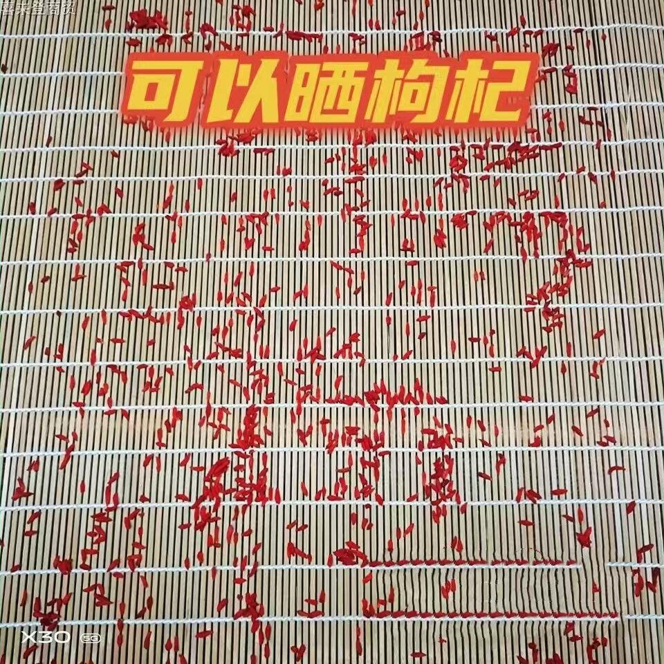 老式卷折叠式竹帘整片晾晒网食品级遮阳适合阳台干菜市场家用晒干