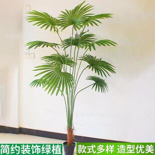 仿真绿植加州蒲葵仿生盆景植物摆件客厅葵树散尾葵装饰仿真园艺