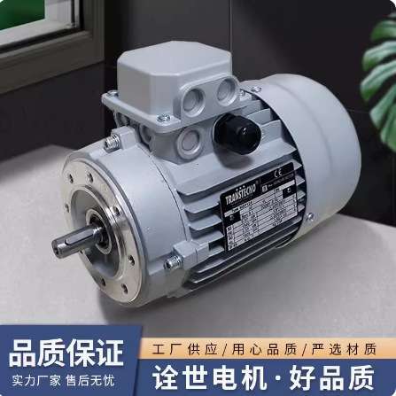 进口意大利原装诠世TRANSTECNO三相异步电机MS/MY系列 MS80B4-B5