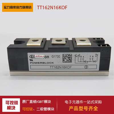 供应 功率可控硅模块TT162N12KOF TT162N14KOF整流原装