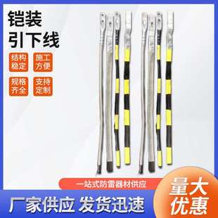 铠装引下线不锈钢铠装石墨接地引下线硅塑胶护套接地引下线