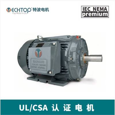 TECHTOP矿山破碎机电机超大转矩耐超载加大轴承NEMA标准