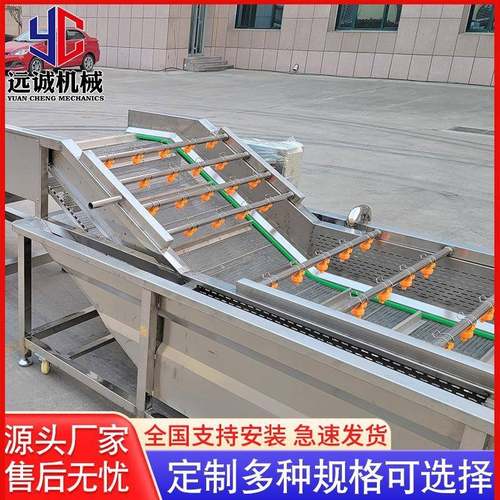 供应淋喷式气泡清洗机全自动果蔬清洗机不锈钢大枣清洗机设备
