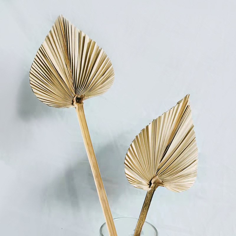 蒲扇叶干花复古气球链家居装饰插花植物叶子派对店铺Y开业庆典装