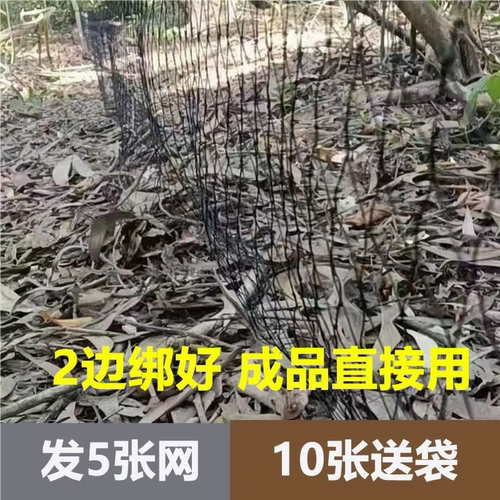 辣条专用网尼龙加粗加长防虫柔软黑色单层可防蛇网