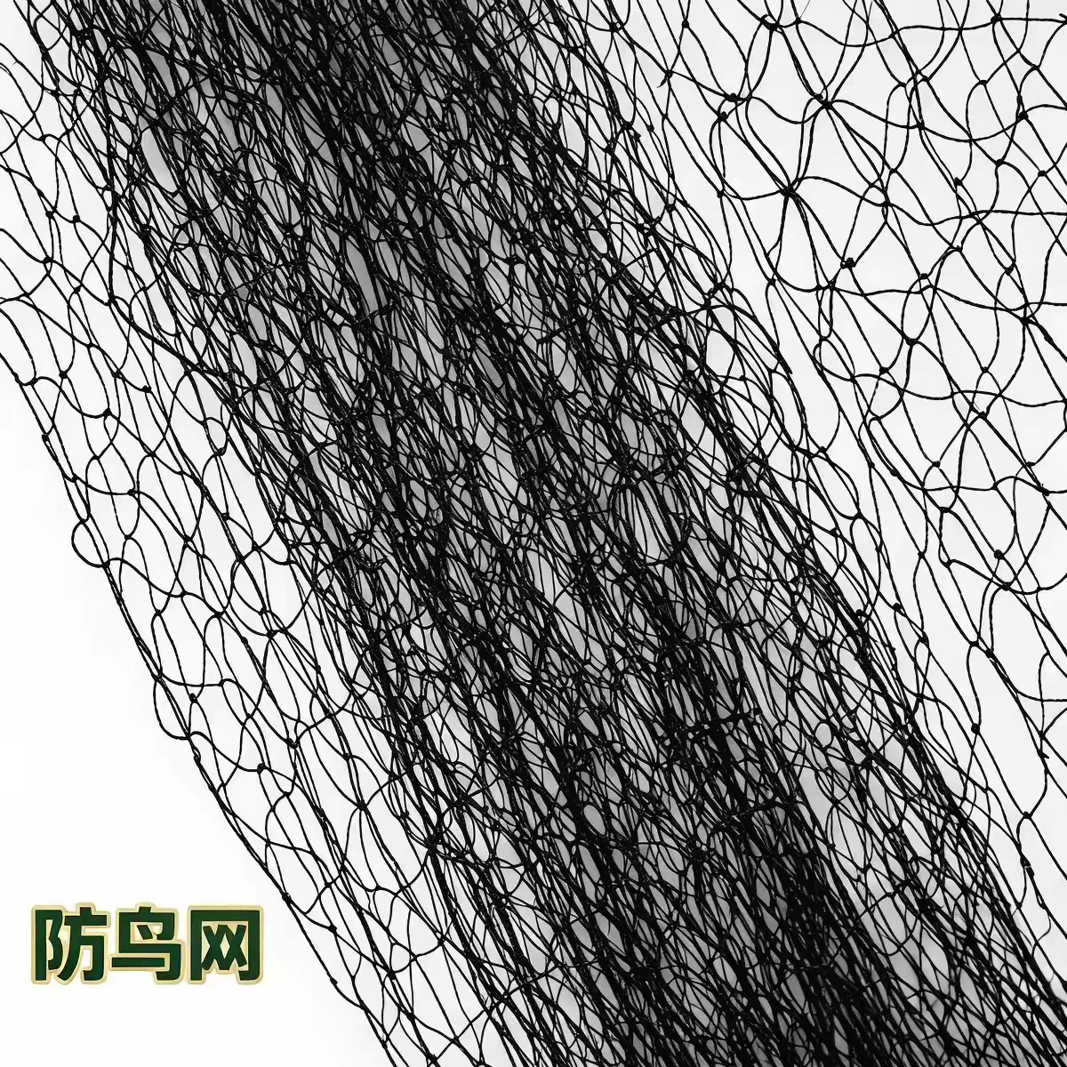 果园防鸟网樱桃葡萄果树防鸟网鱼塘养殖天网尼龙网防护网