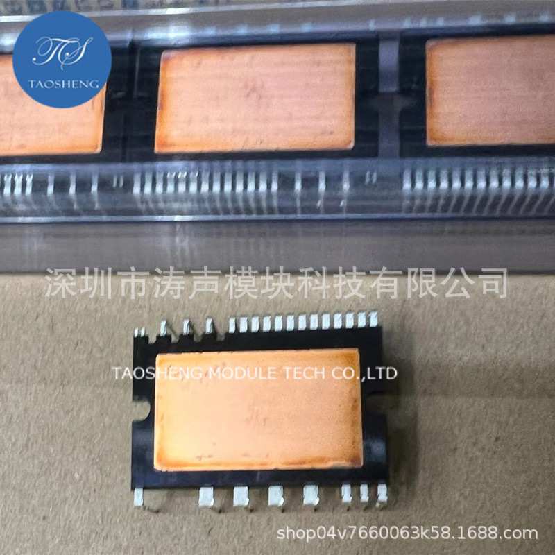 PS219C4-AS PS219C5-AS PS219C3-AS 模块现货供应 欢迎咨询采购