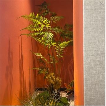 室内景观仿真金丝蕨造盆栽植物蕨类绿植仿生微景观景猴头蕨